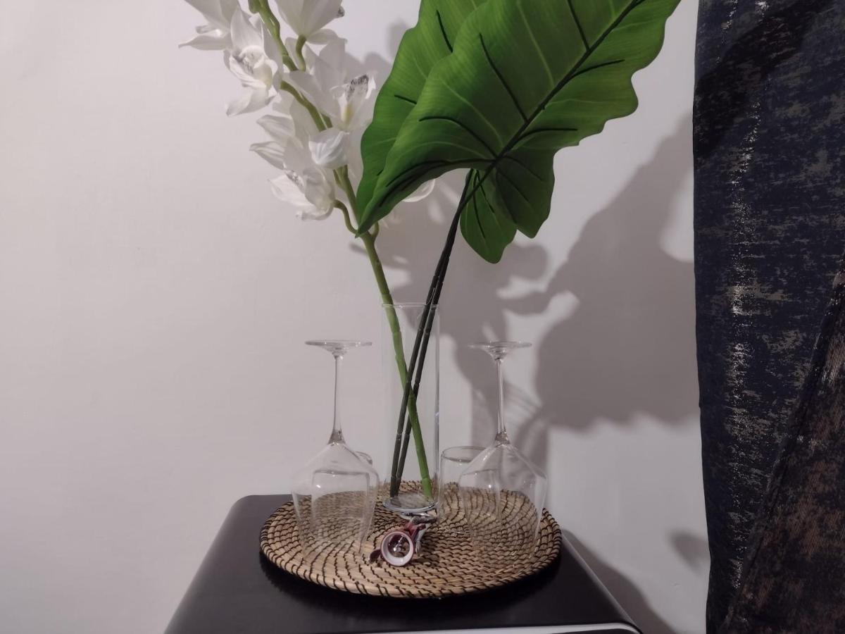 Vatican Luxury Apartment 罗马 外观 照片